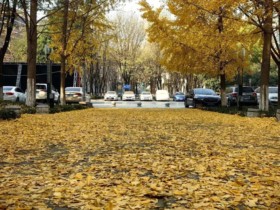 黄色小说网站大全