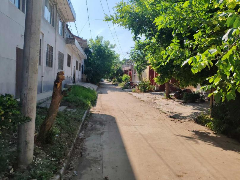 黄色小说网站大全