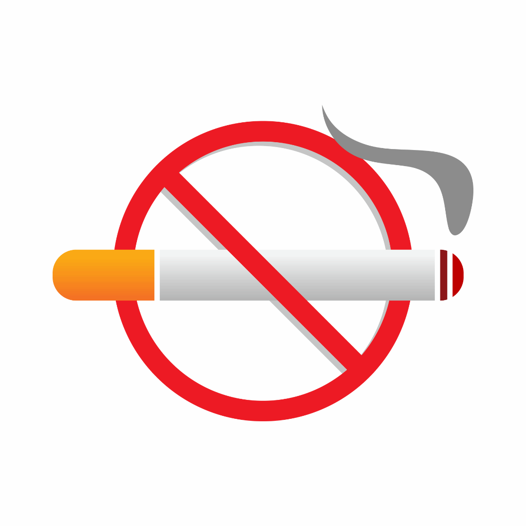 黄色小说网站大全