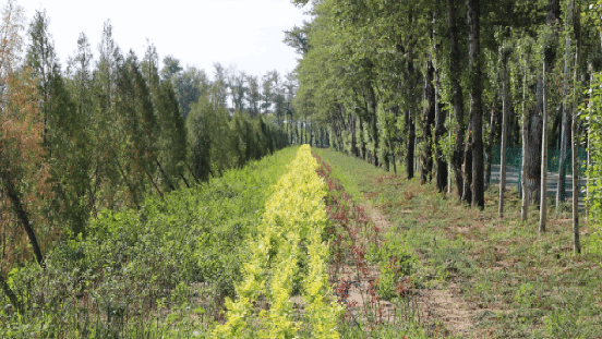 黄色小说网站大全