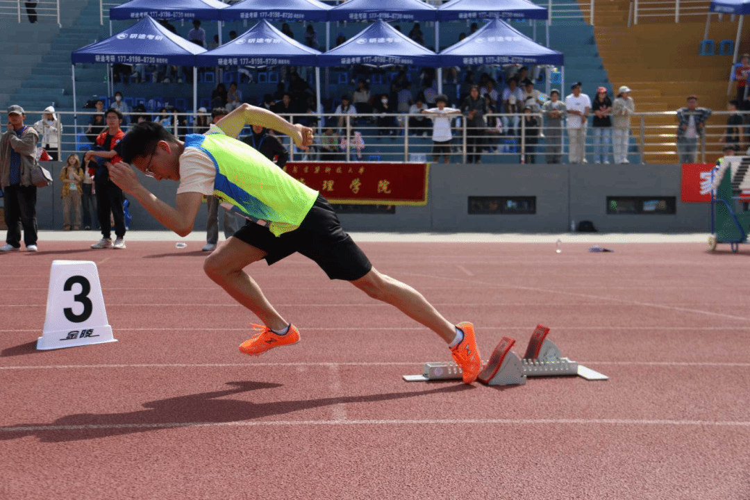 黄色小说网站大全