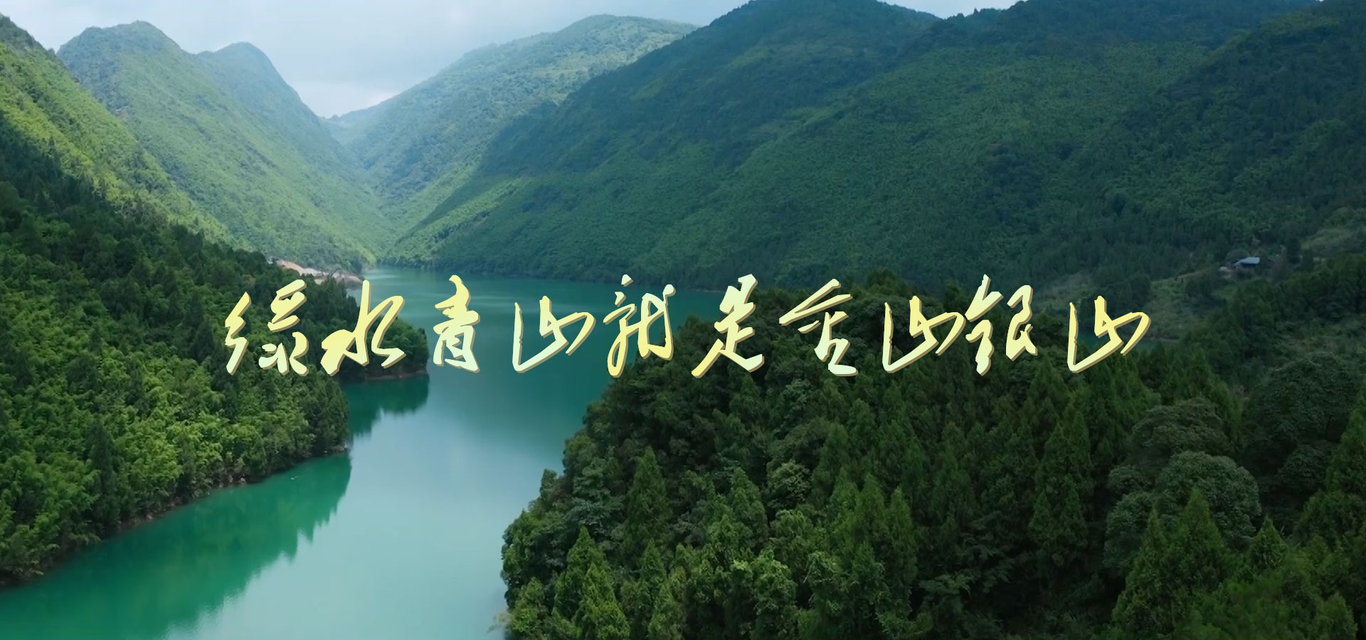 黄色小说网站大全