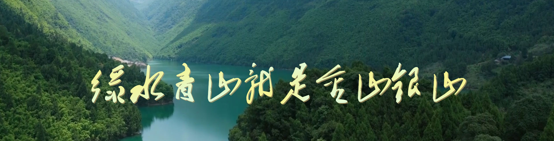 黄色小说网站大全